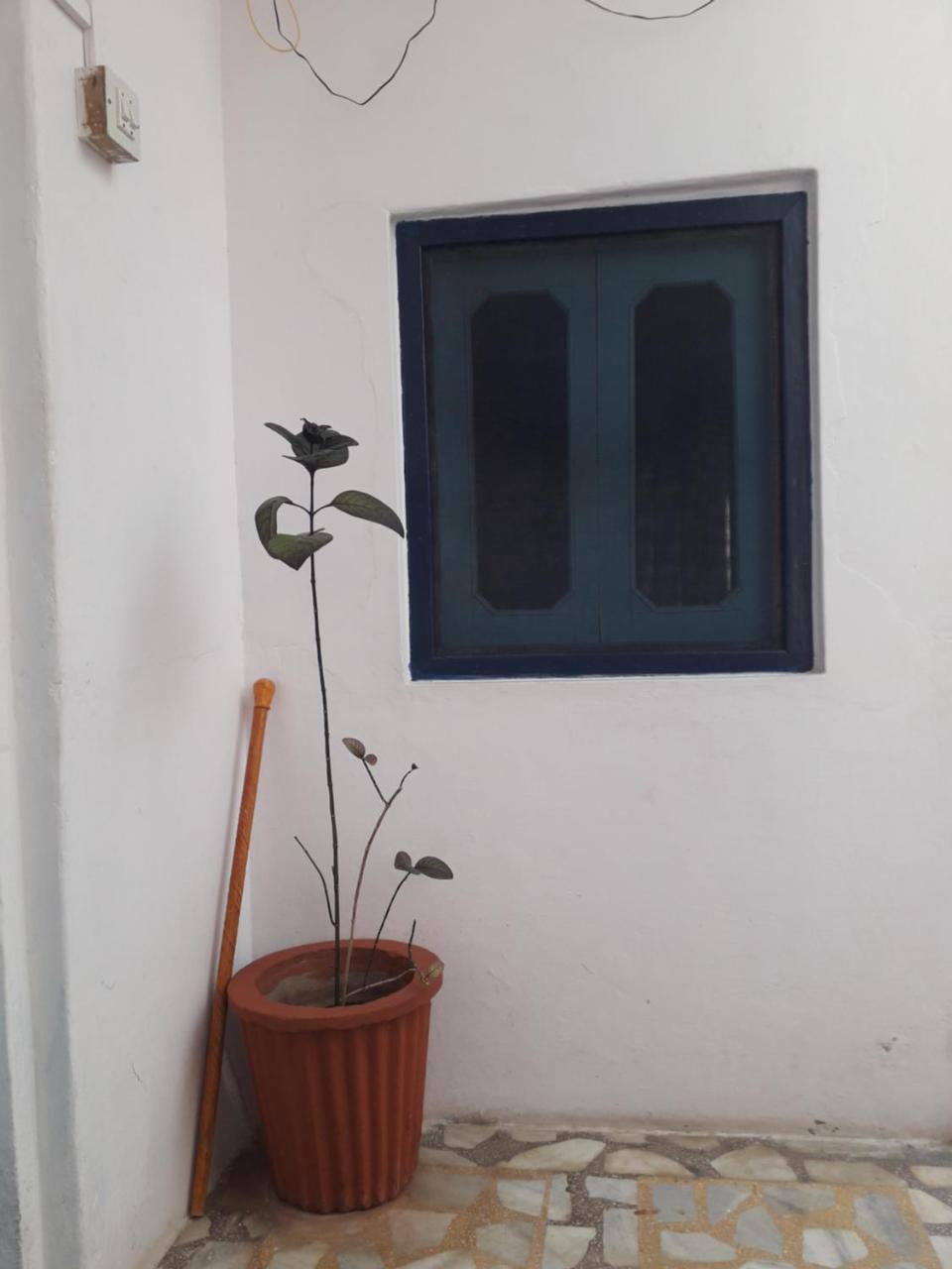 Rajguru Guest House Pushkar Exterior photo